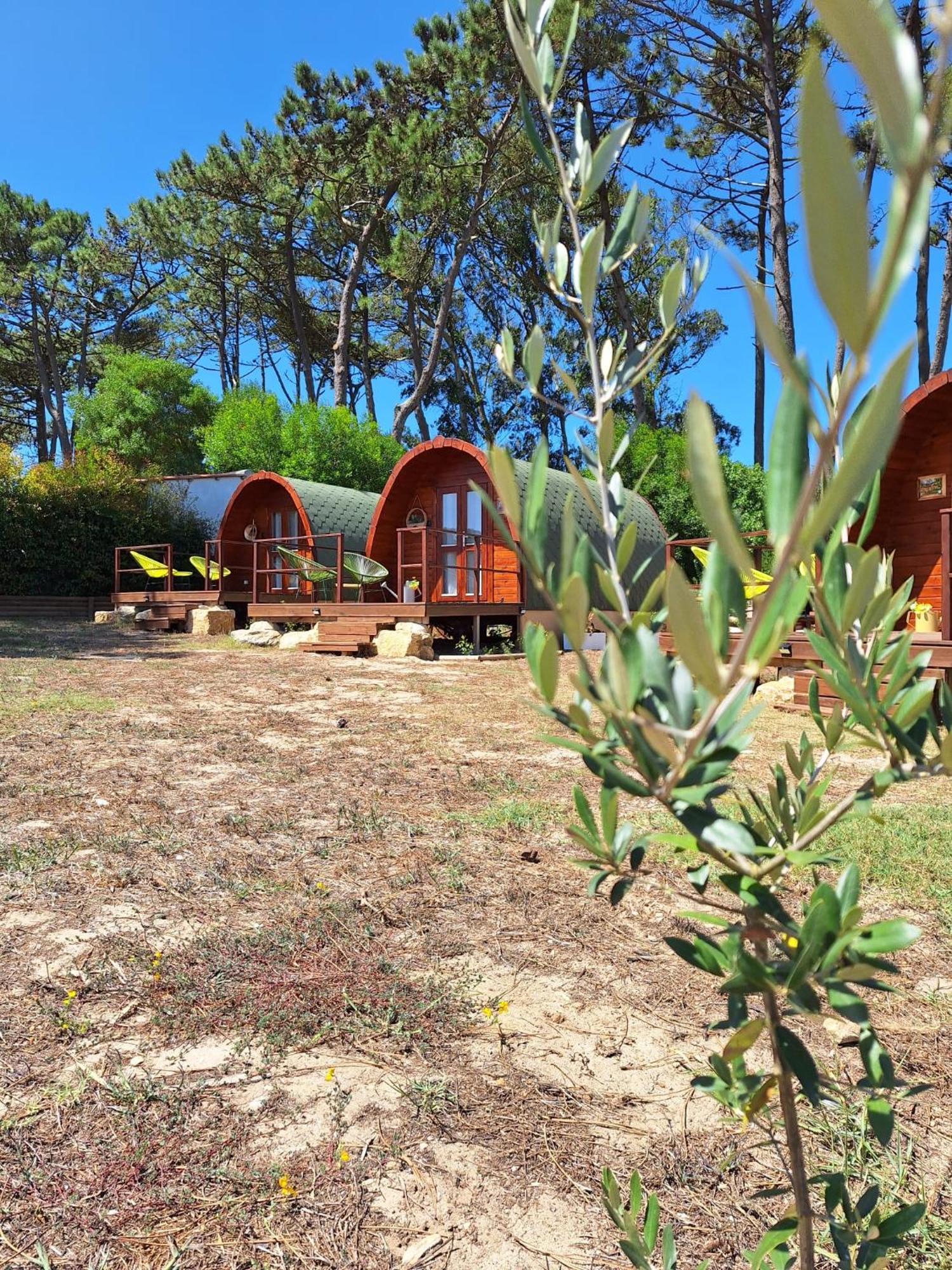 Vila Bastardo Glamping Pod Otel Sintra Dış mekan fotoğraf